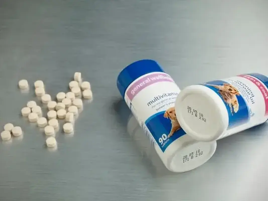 Continuous Inkjet Printers for pharma