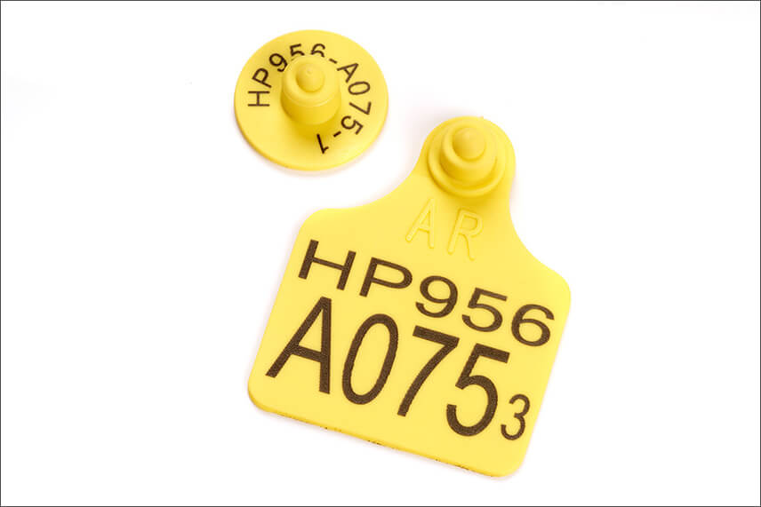 laser marking on animal tags