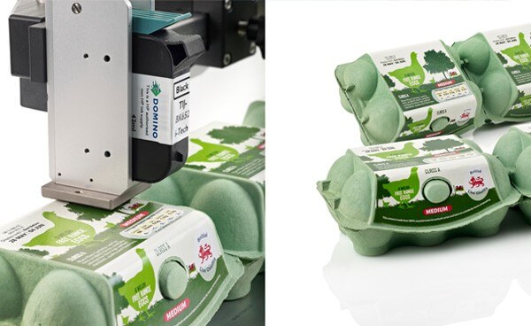 egg cartons